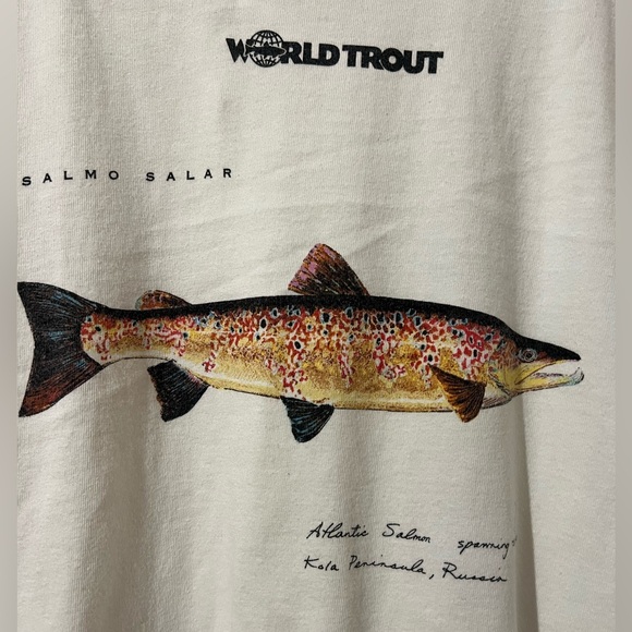 Rare Patagonia Shirt Vintage Collectible Atlantic Salmon Spawning Colors Russia - Picture 4 of 8